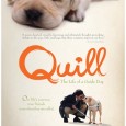 QUILL: THE LIFE OF A GUIDE DOG is a film by Yoichi Sai. Based on […]