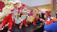 Queens Center Mall kicked off the Year of Rat Festival on Jan 25th with lion […]